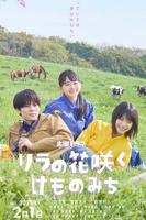 《丁香花》高清完整版播放免费国语中字多线路播放