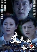 丈夫的秘密2012在线观看
